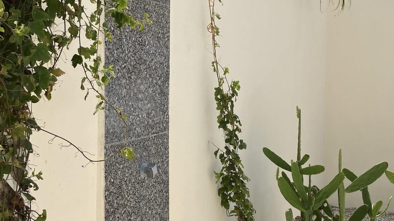 Photo of Outdoor in Chelem