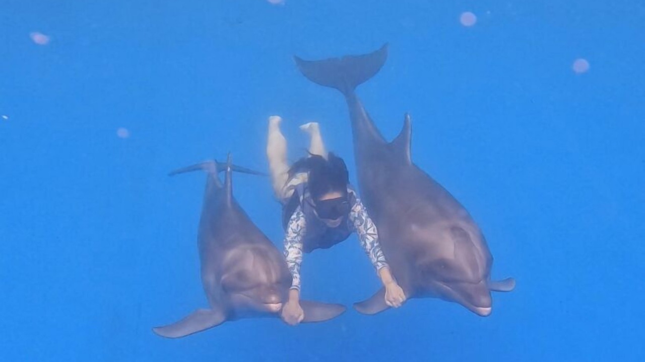 Photo of Others in Palmar de Aramara