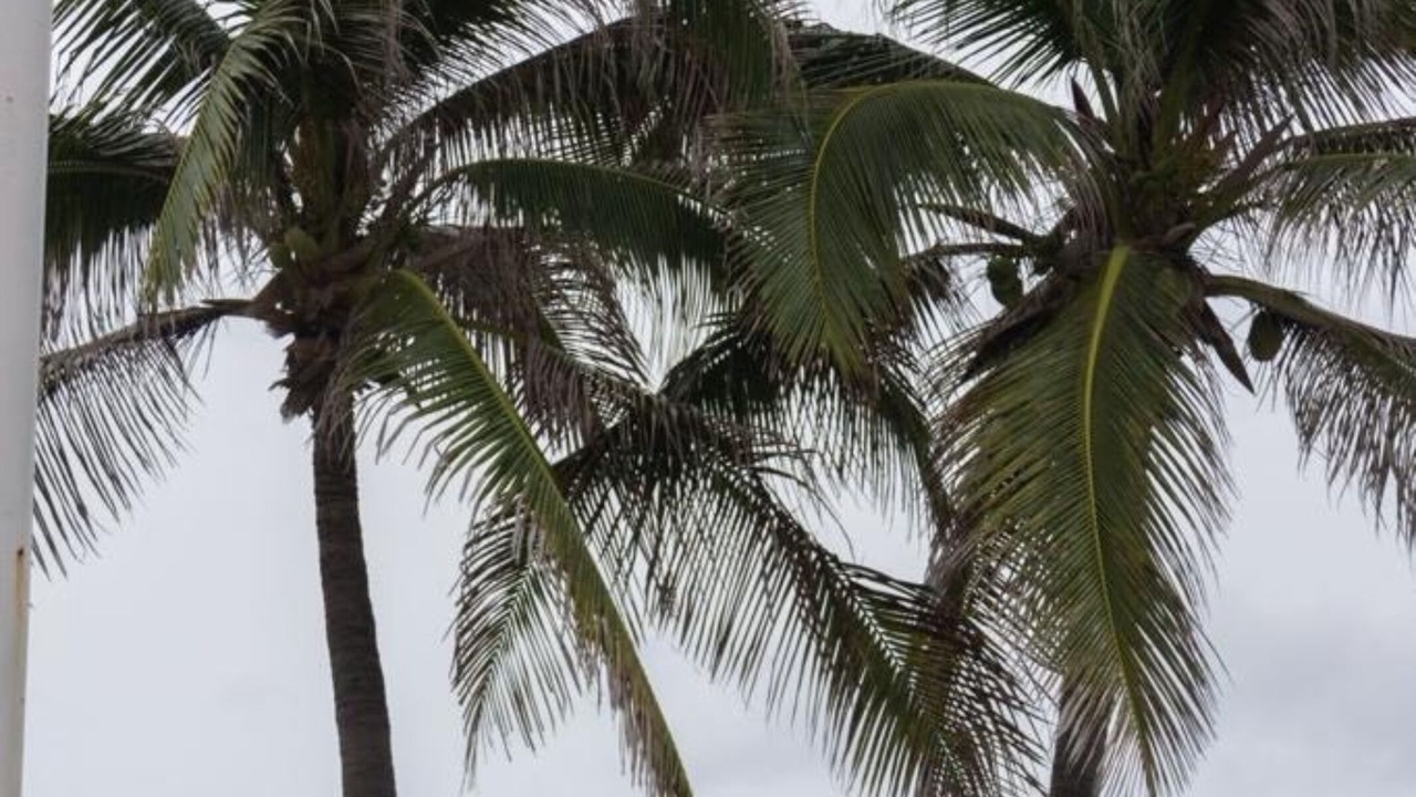 Photo of Others in Olas Altas