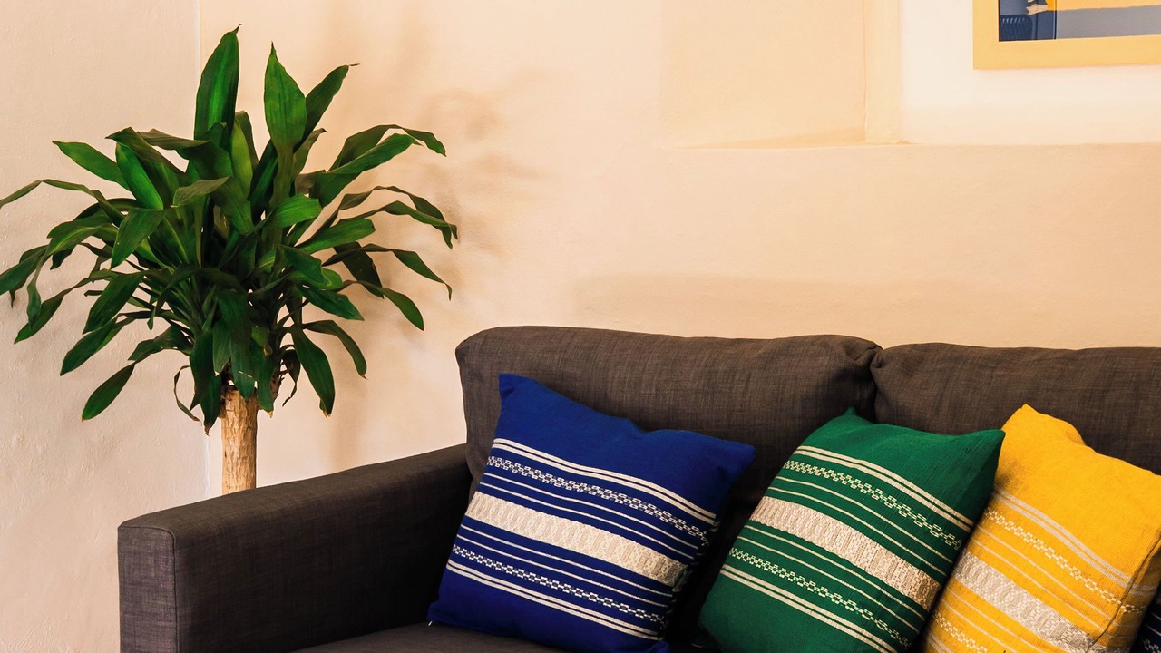 Photo of Livingroom in Oaxaca