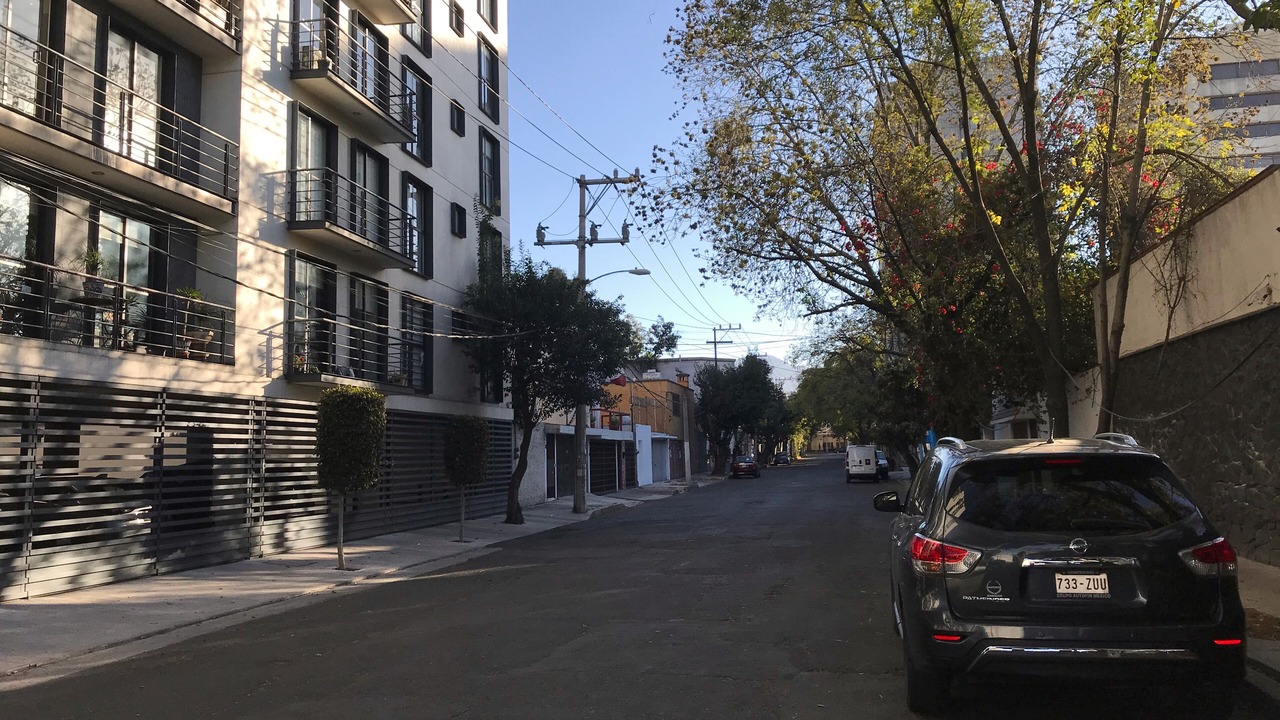 Photo of Others in Coyoacan