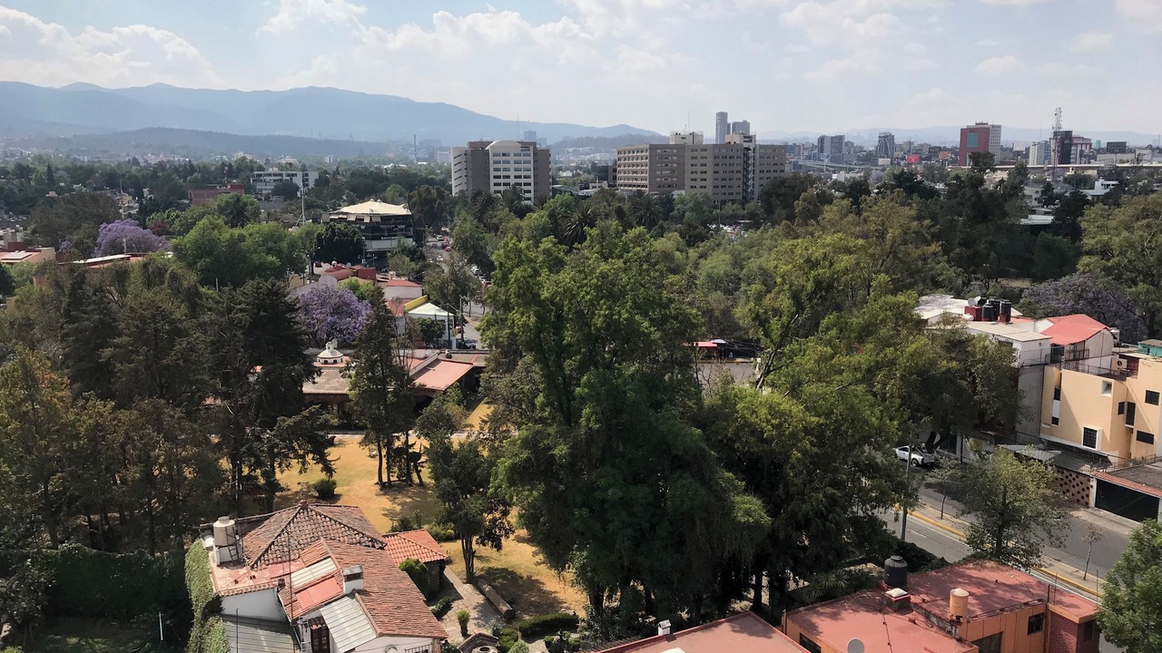 Photo of Outdoor in Coyoacan