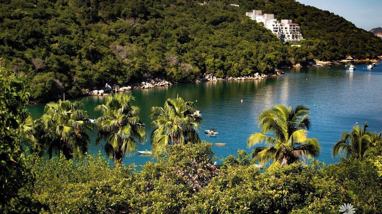 Photo of Others in Puerto Marques