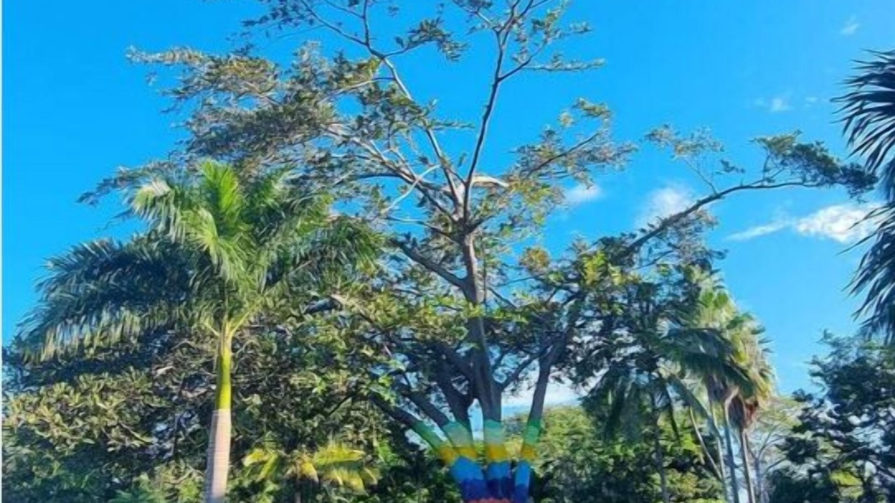 Photo of Outdoor in Fluvial Vallarta