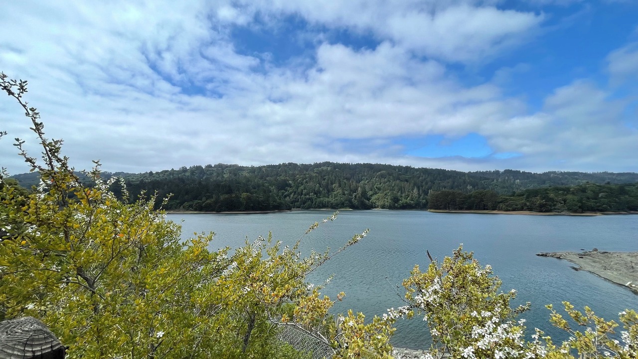 Photo of Others in Millbrae