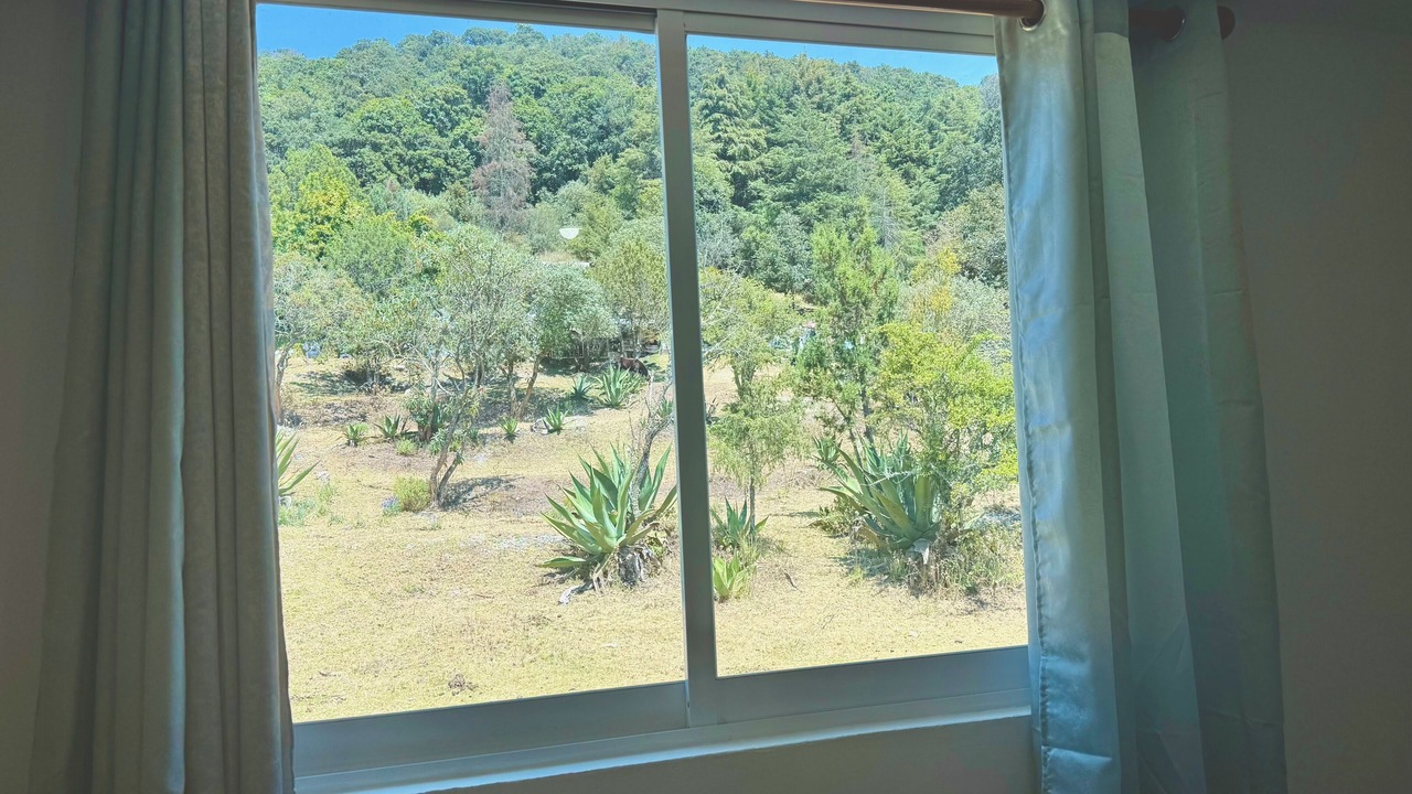 Photo of Others in Mineral del Chico
