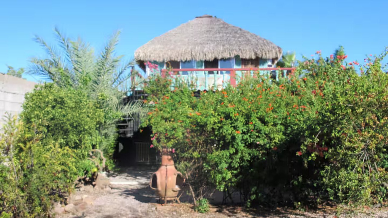 Photo of Outdoor in San Carlos