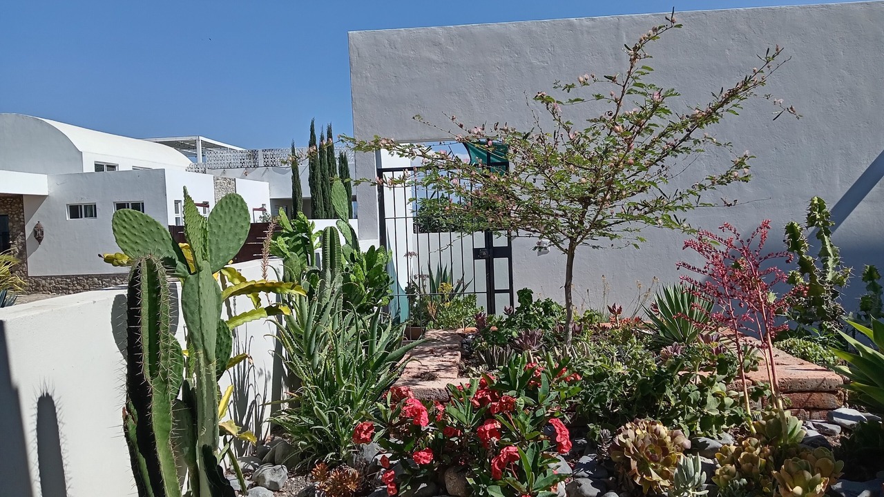 Photo of Outdoor in Chapala