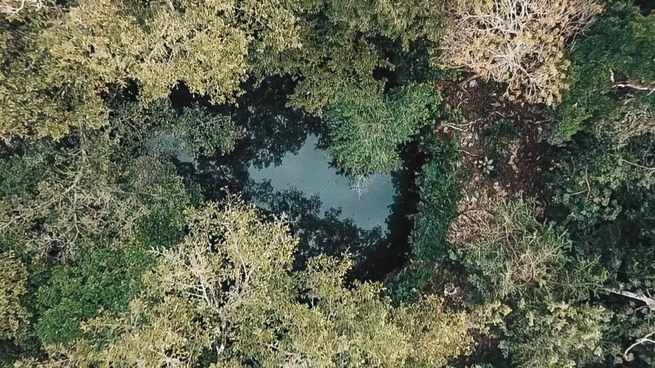 Photo of Outdoor in Yucatan Peninsula