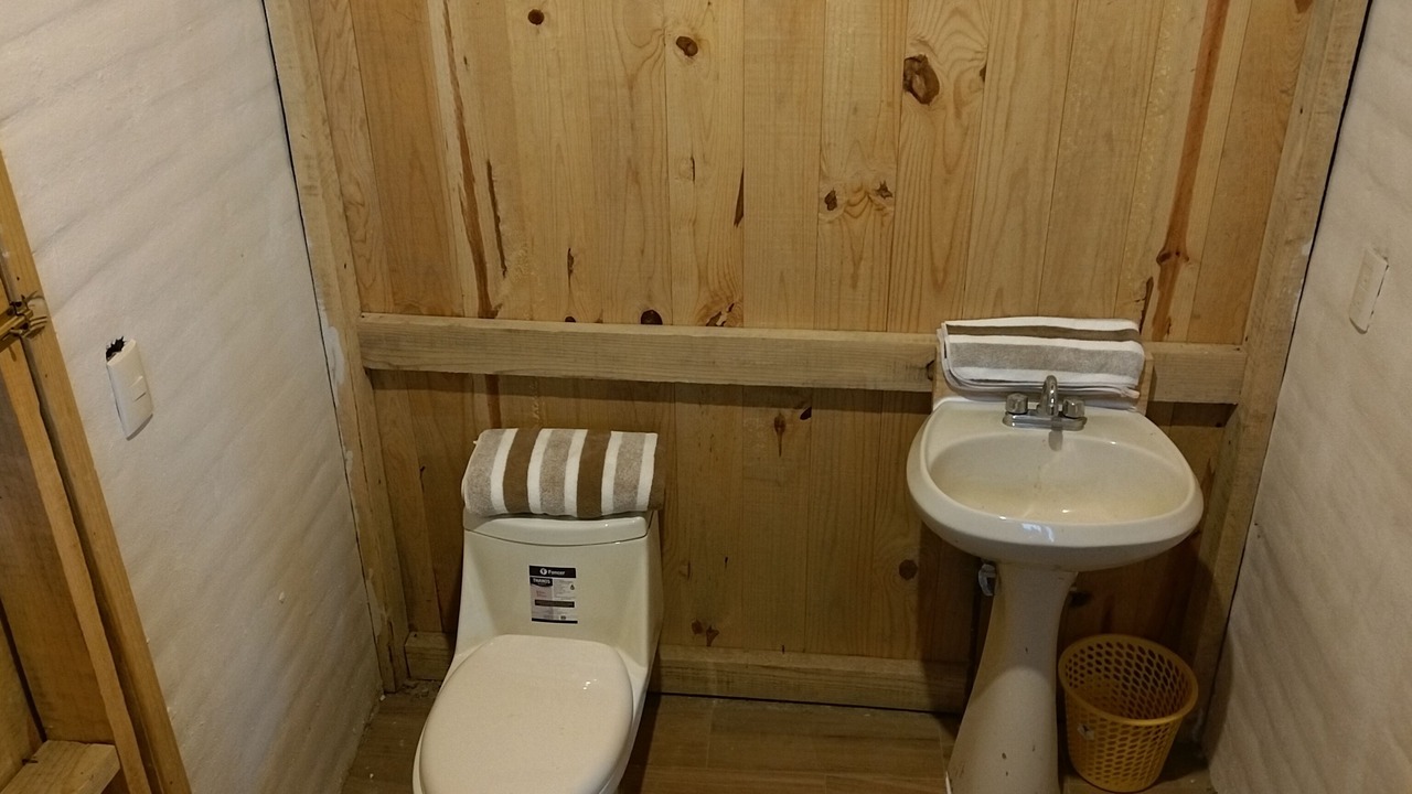 Photo of Bathroom in Mazamitla
