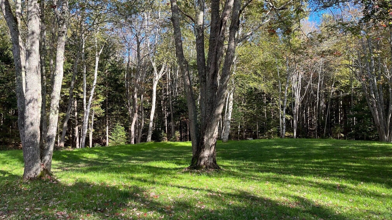 Photo of Outdoor in West Point