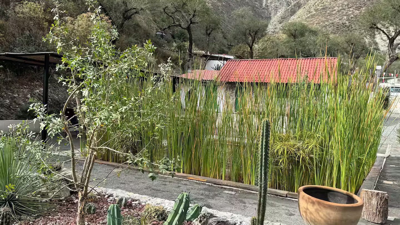 Photo of Outdoor in Metztitlan