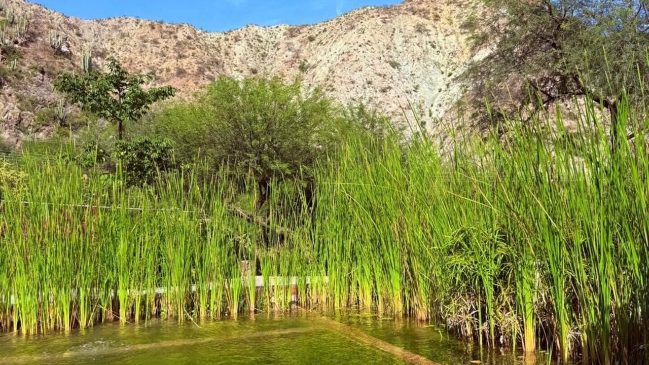 Photo of Outdoor in Metztitlan