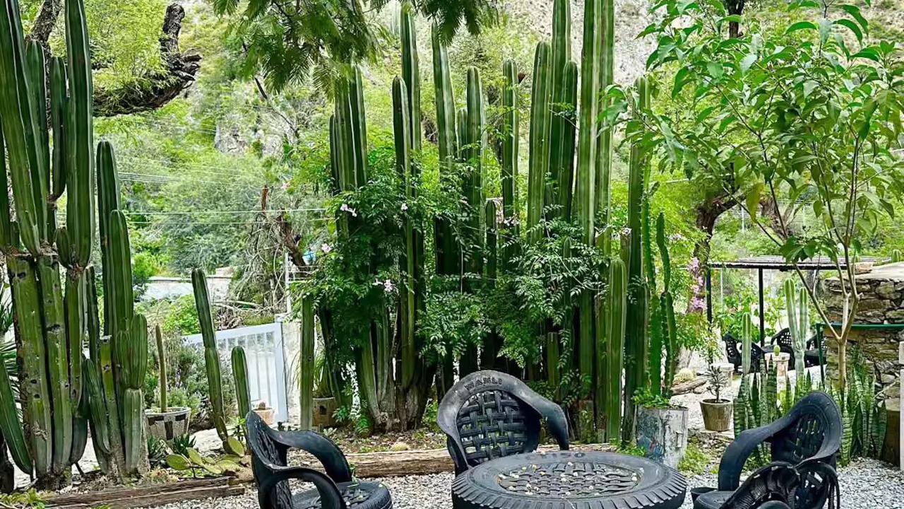 Photo of Patio Balcony in Metztitlan