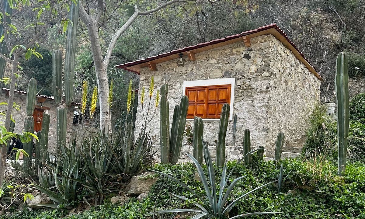 Photo of Outdoor in Metztitlan