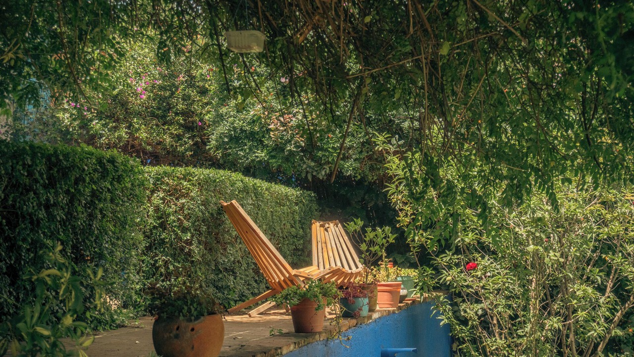 Photo of Outdoor in De Mexicanos