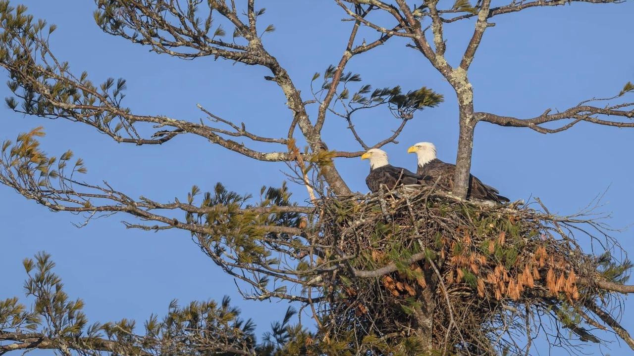 Photo of Others in Lyman