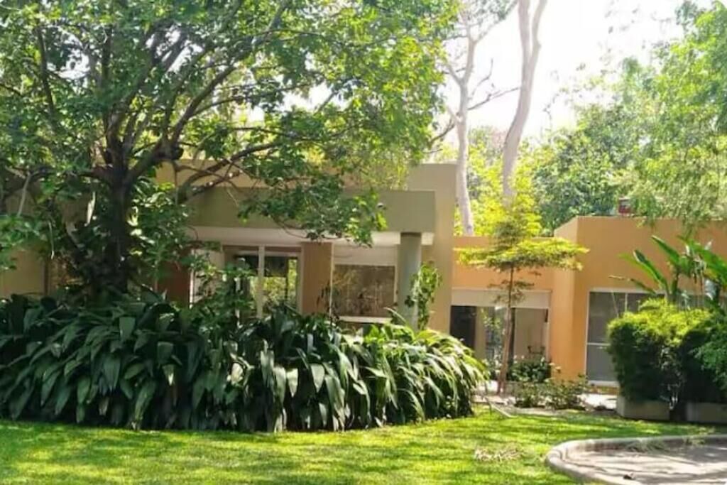 Photo of Outdoor in Comala
