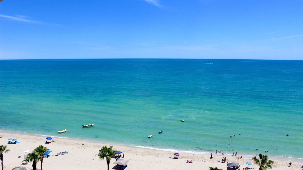 Photo of Others in Puerto Penasco