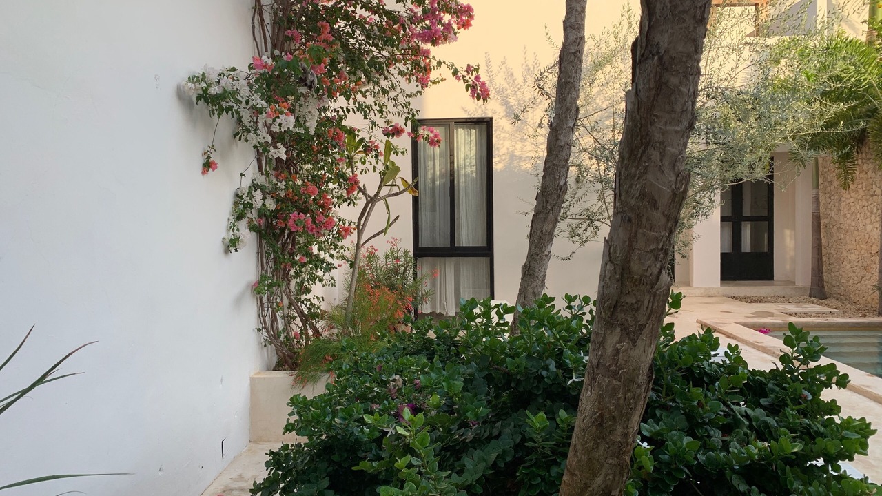 Photo of Outdoor in Barrio de Santiago