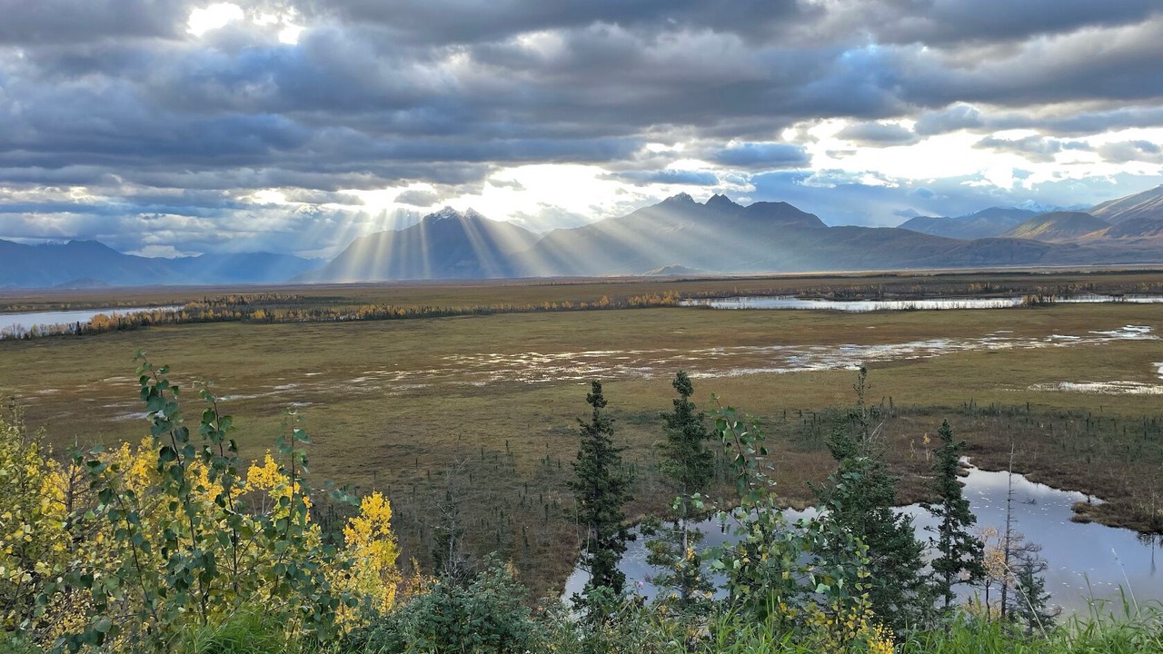 Photo of Others in Wasilla
