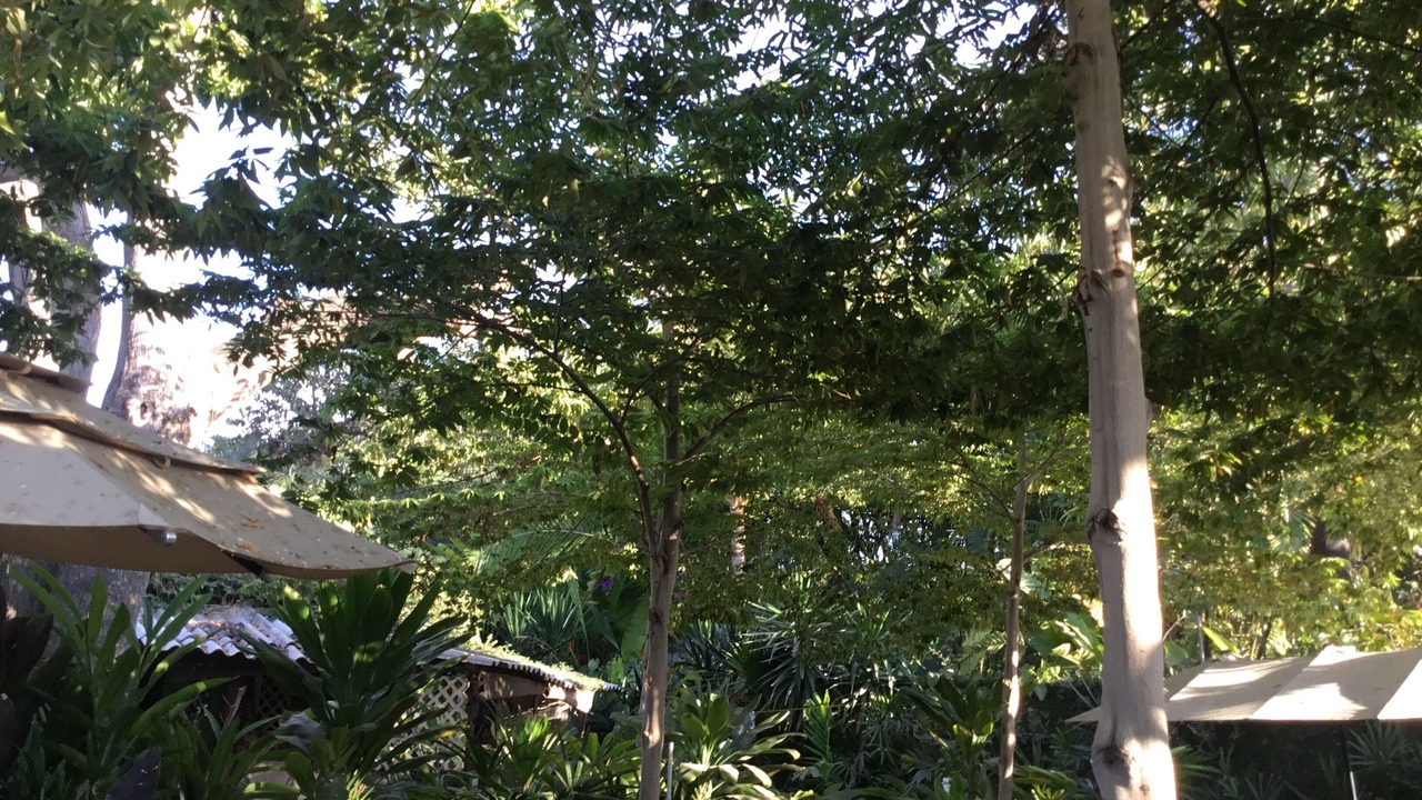 Photo of Outdoor in Santa Cruz
