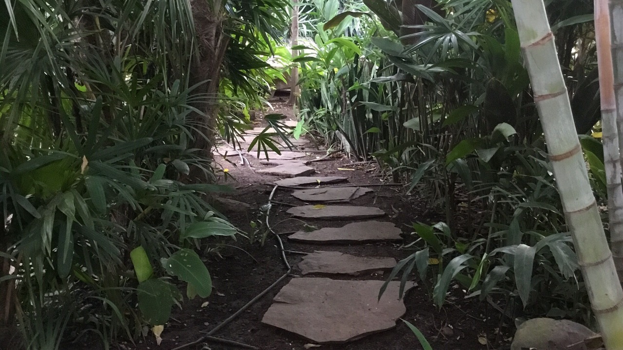 Photo of Outdoor in Santa Cruz