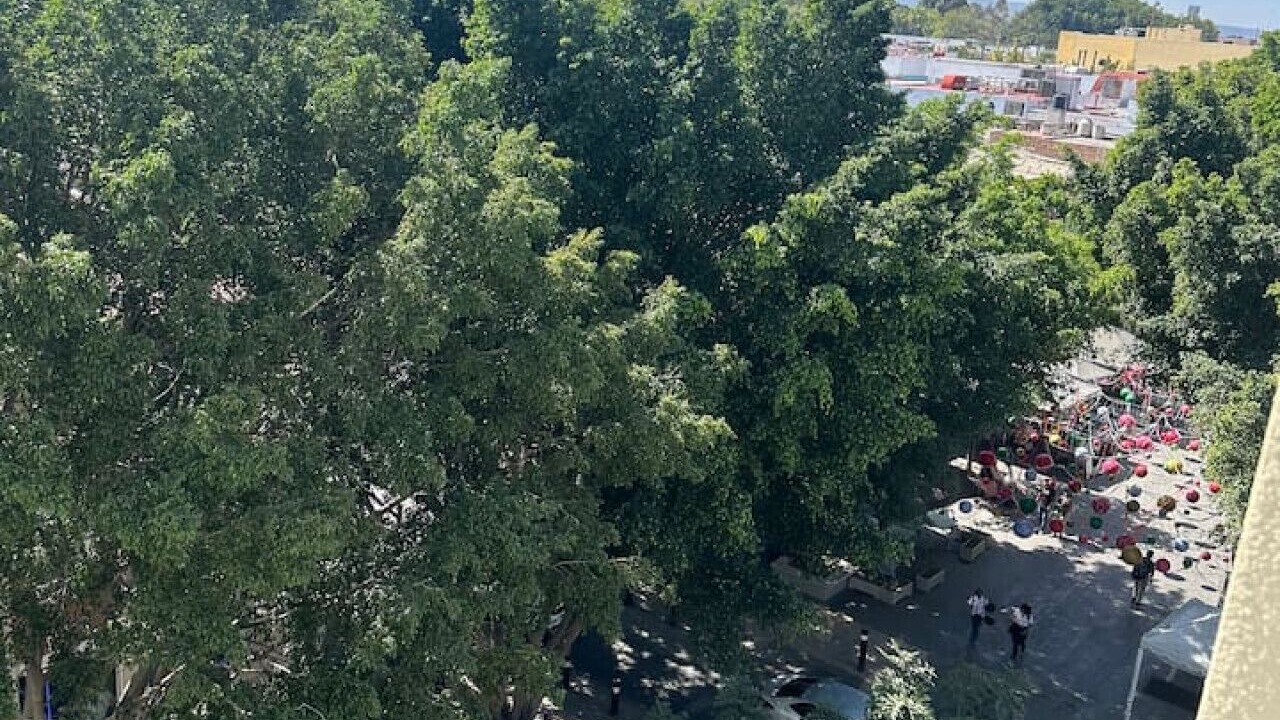 Photo of Outdoor in Zapopan