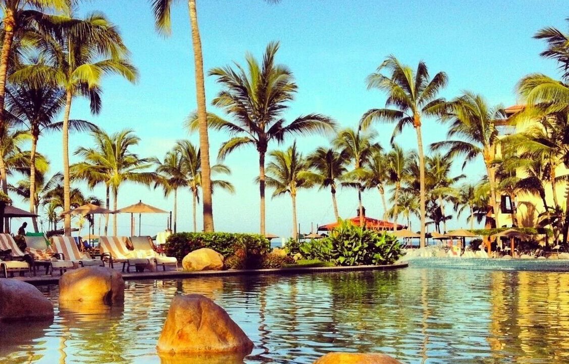 Photo of Outdoor in Flamingos