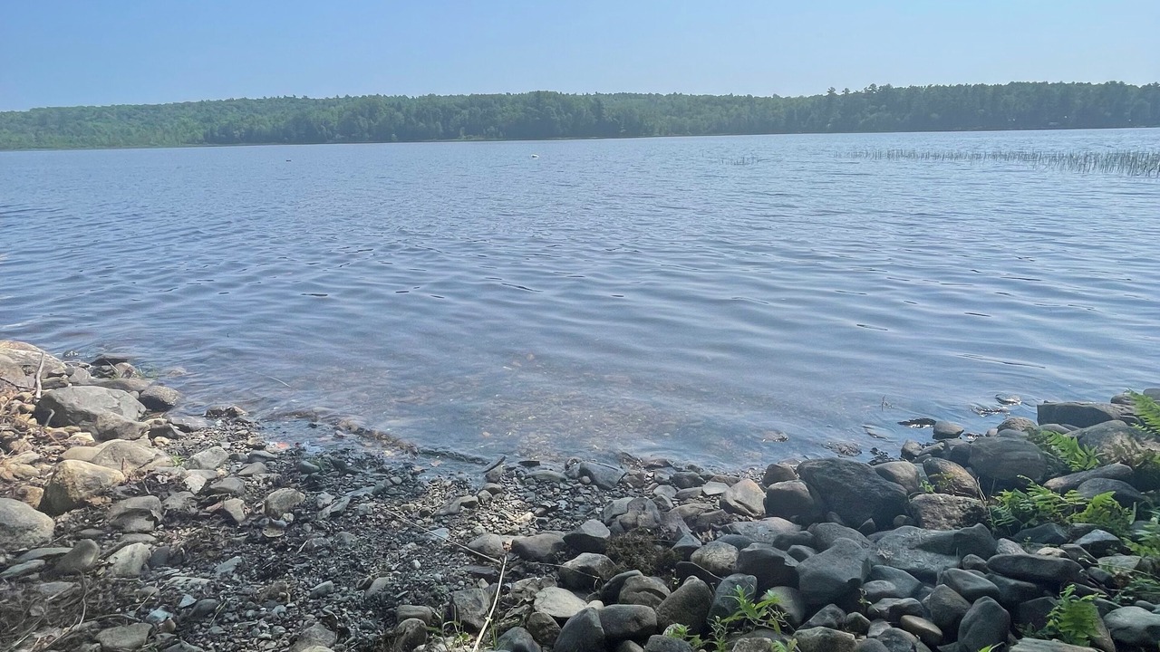 Photo of Others in Canaan