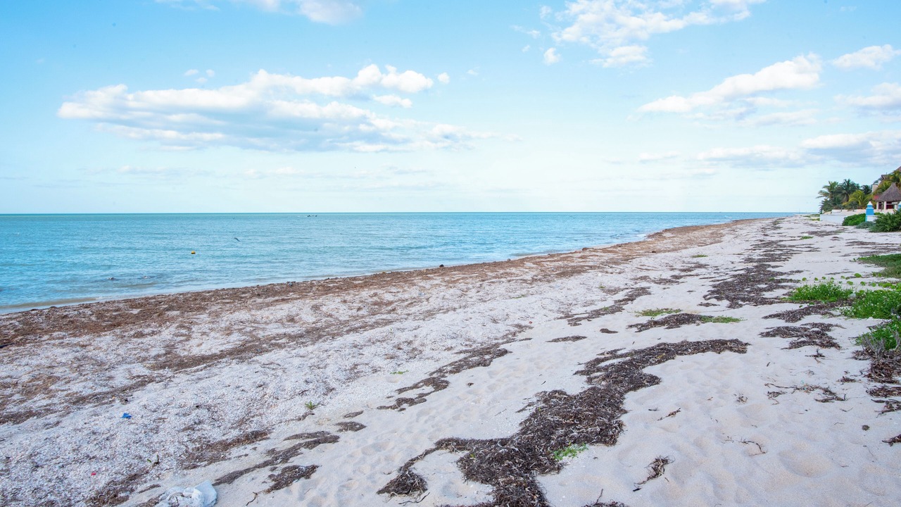 Photo of Others in Yucatan Peninsula