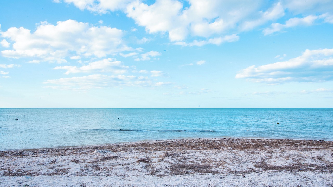 Photo of Others in Yucatan Peninsula