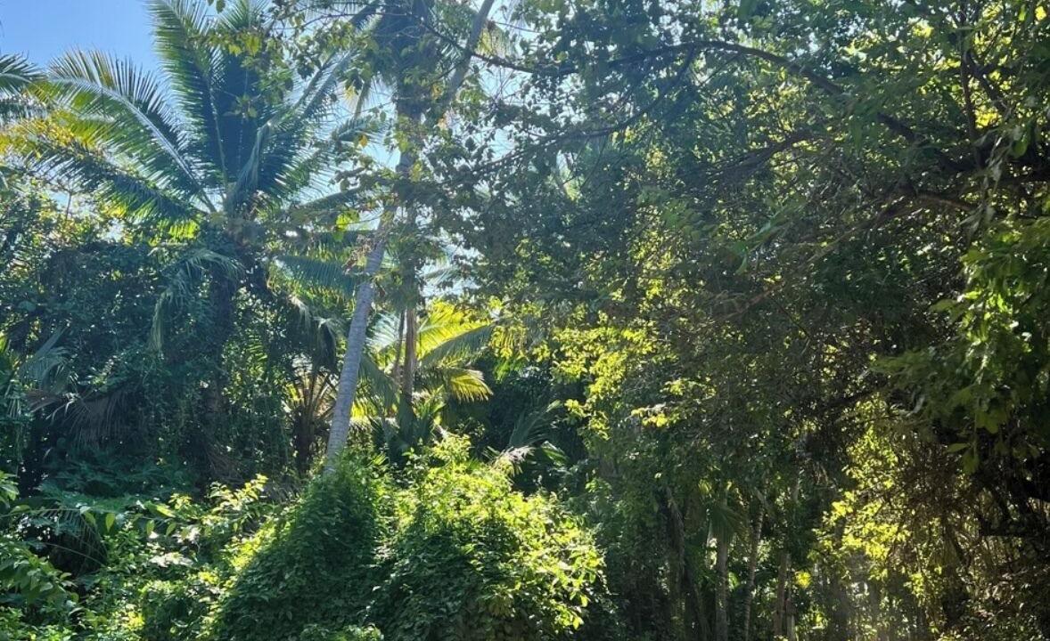 Photo of Others in San Pedro Pochutla