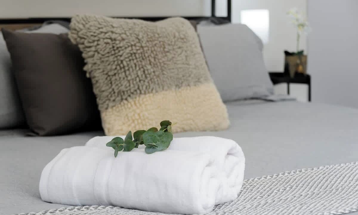 Photo of Bedroom in Escandon