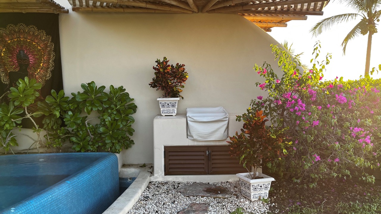 Photo of Outdoor in Troncones