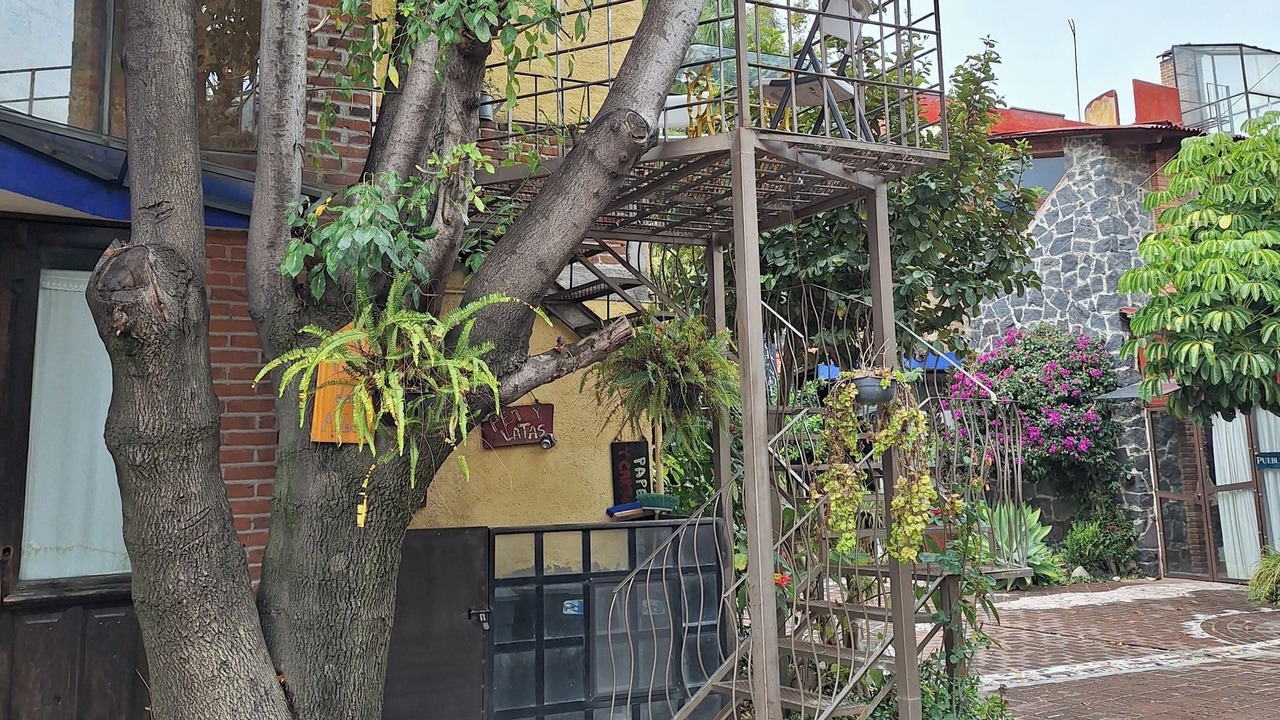 Photo of Outdoor in Cholula
