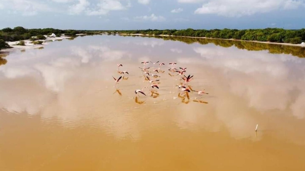 Photo of Others in Celestun