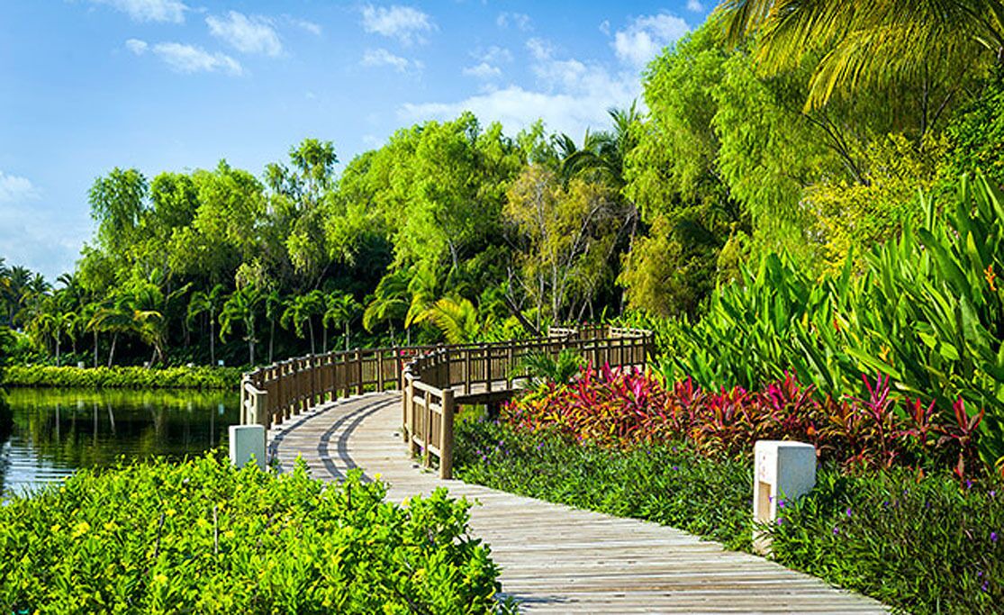 Photo of Outdoor in Valle Dorado