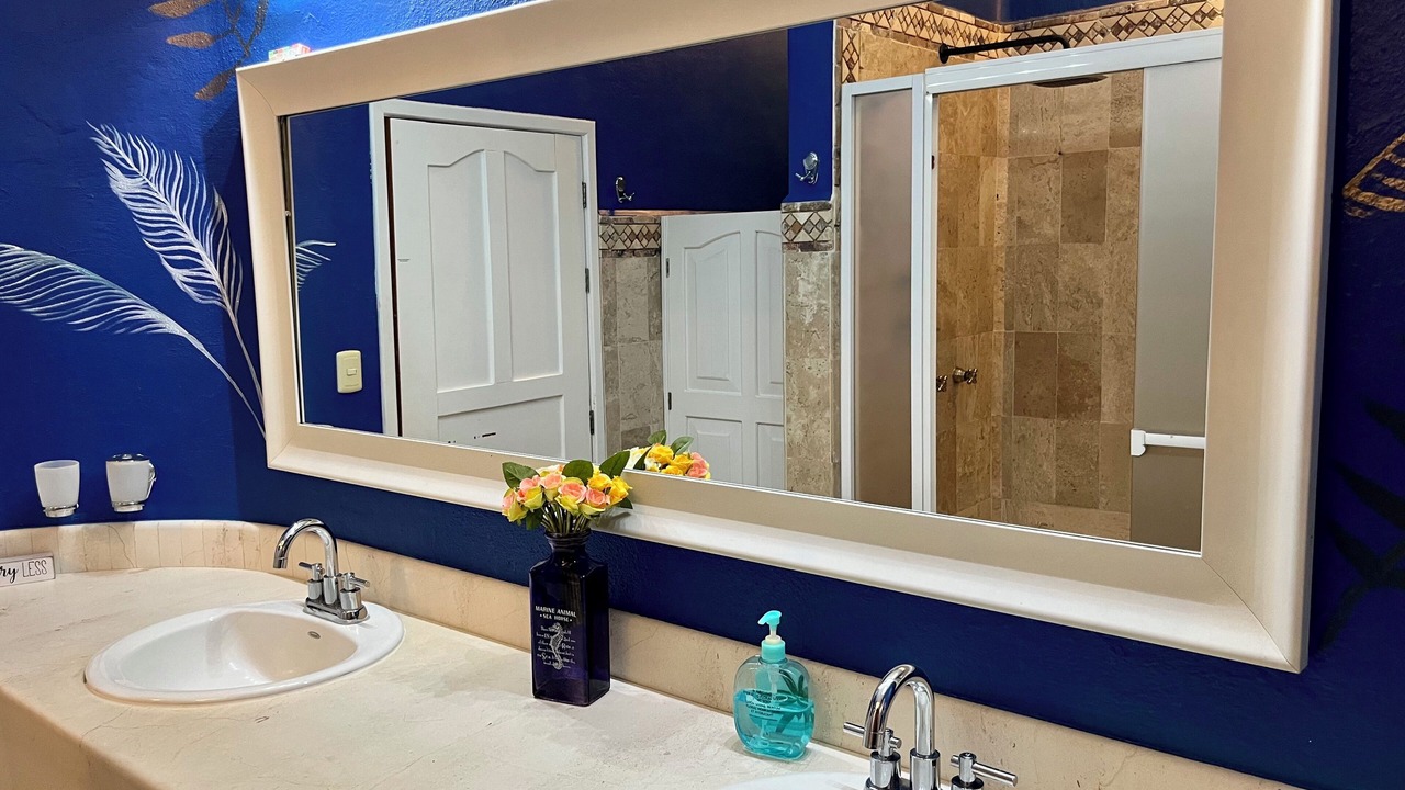 Photo of Bathroom in Palmar de Aramara