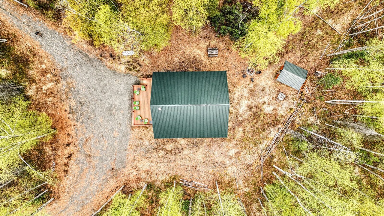 Photo of Outdoor in Willow