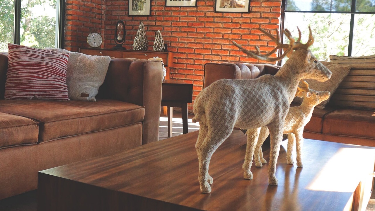 Photo of Livingroom in Huasca De Ocampo