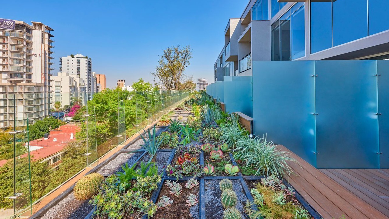 Photo of Outdoor in Providencia