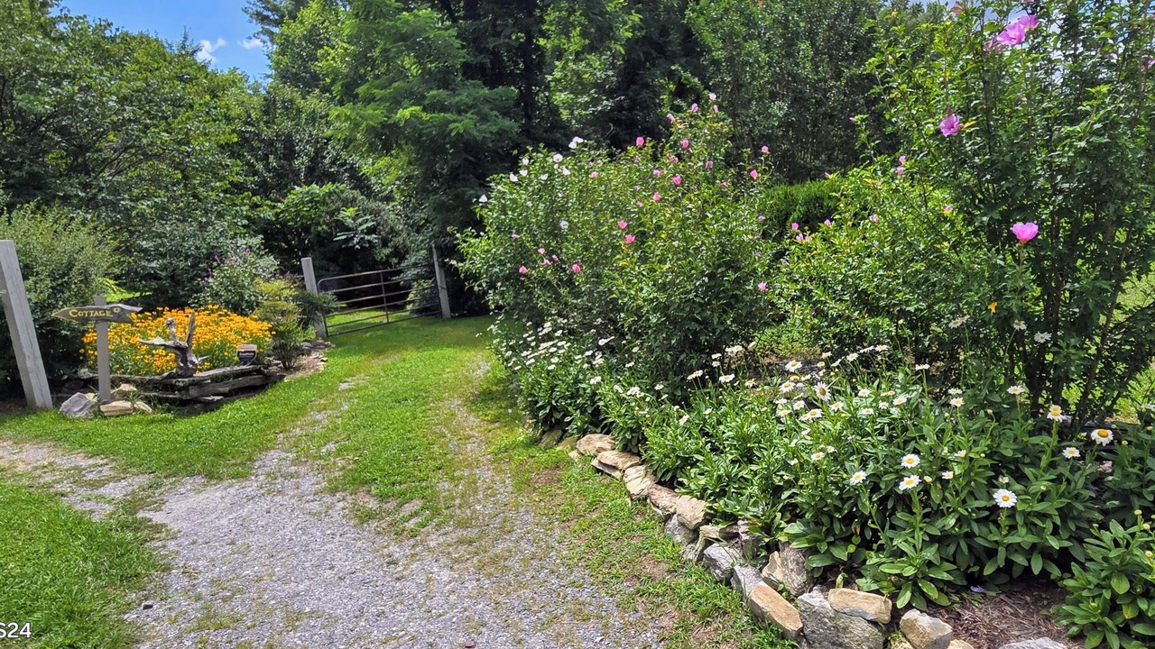 Photo of Outdoor in Hendersonville