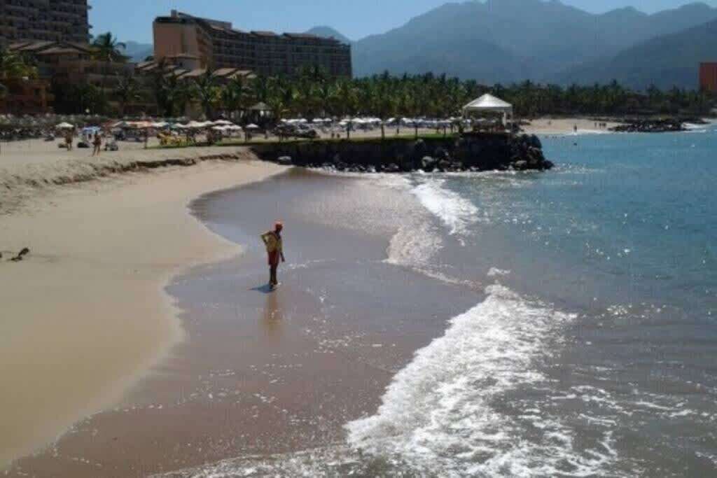 Photo of Others in Fluvial Vallarta