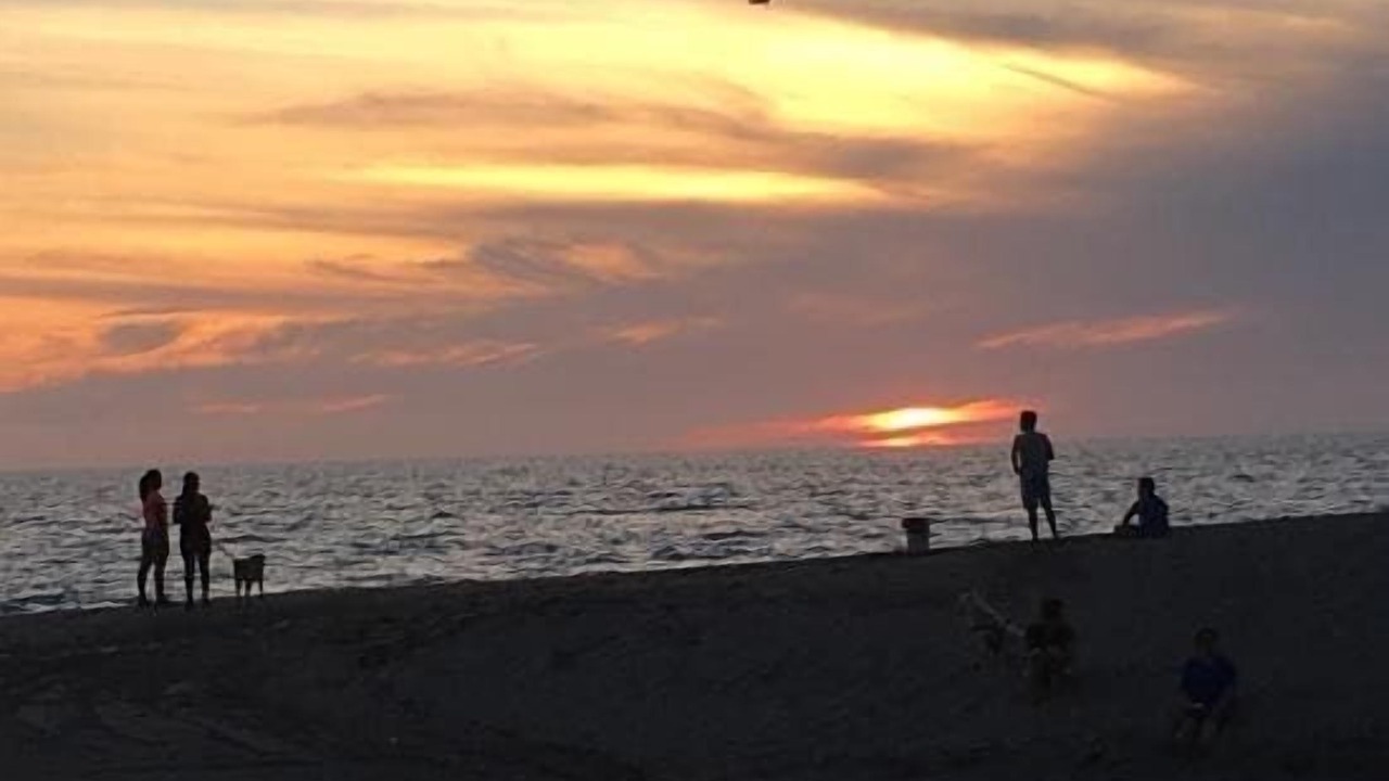 Photo of Others in Fluvial Vallarta