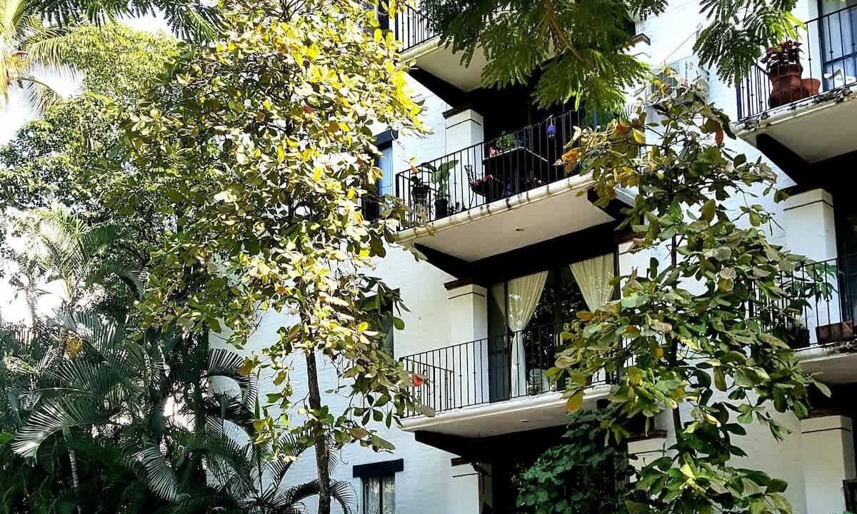 Photo of Others in Fluvial Vallarta