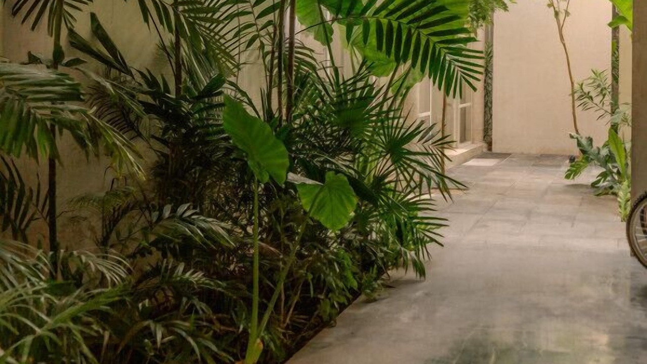 Photo of Outdoor in Centro