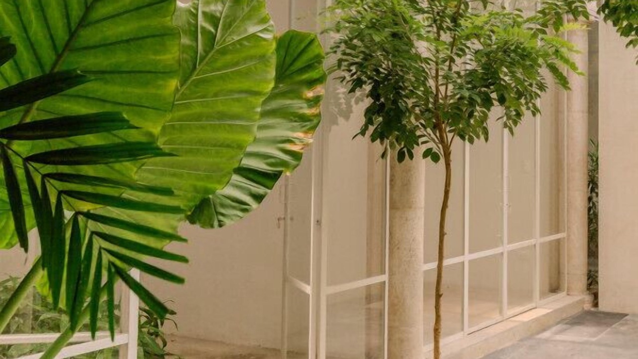Photo of Outdoor in Centro