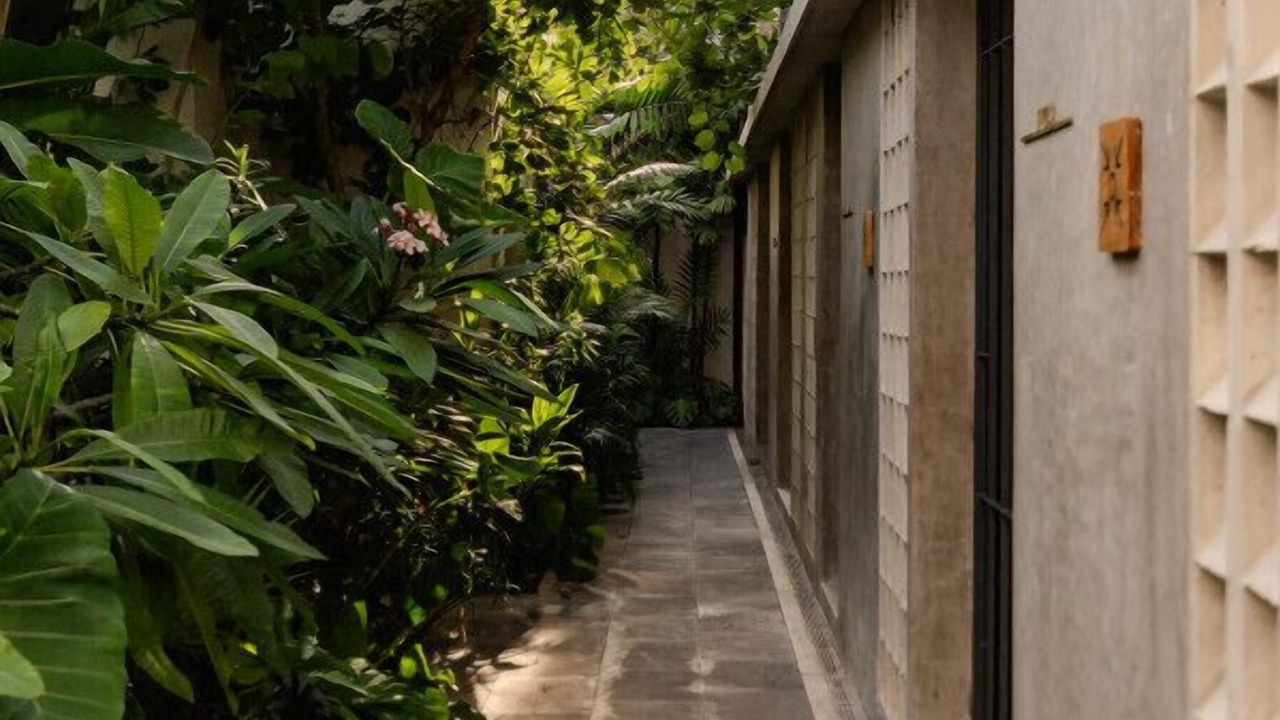 Photo of Outdoor in Centro