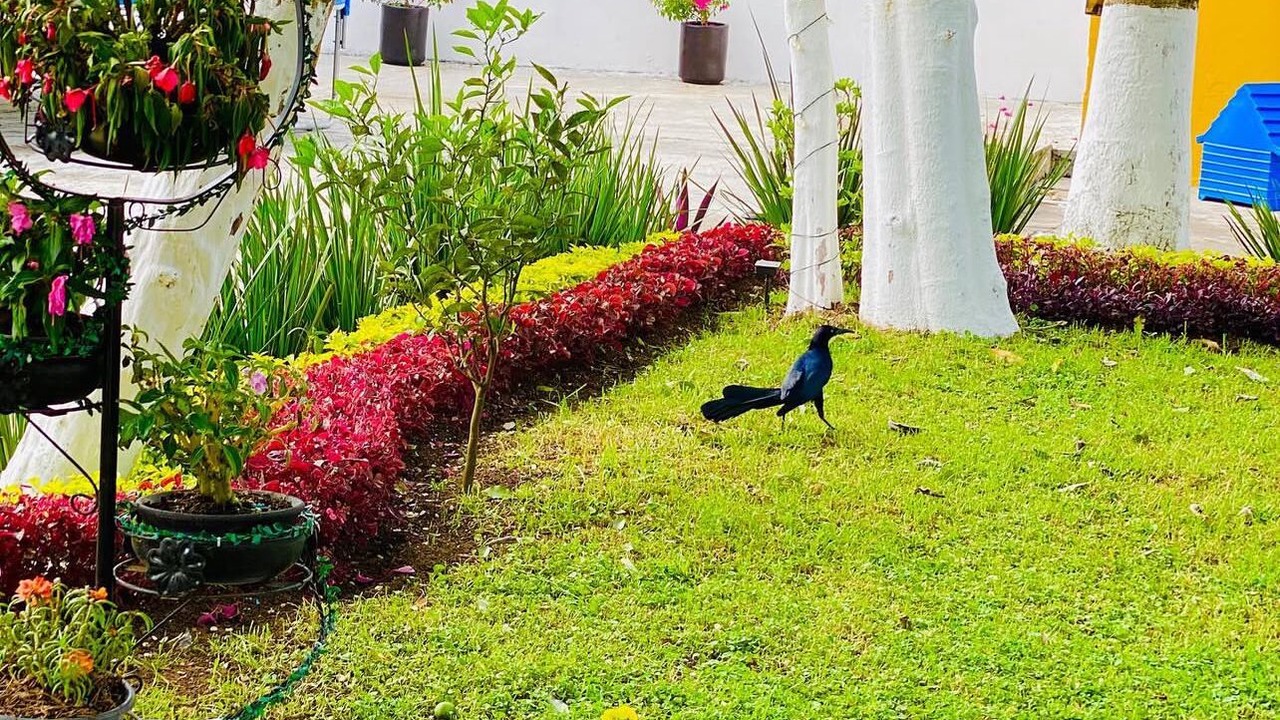 Photo of Outdoor in Xicotepec